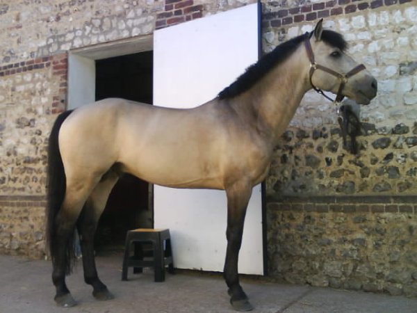 Photo de profil de celine77450