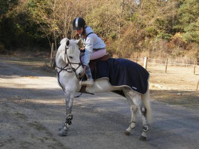 Photo de profil de chaaanel