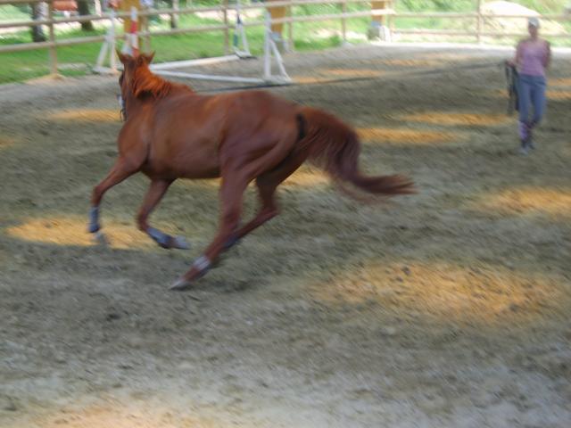 Photo de profil de chamalow37