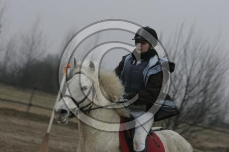 Photo de profil de cheval1002