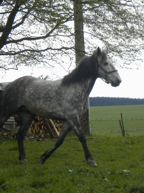 Photo de profil de clara*-*