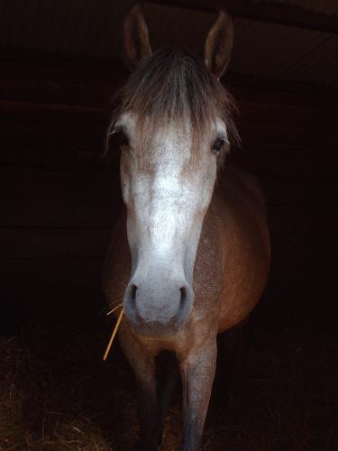 Photo de profil de clara41