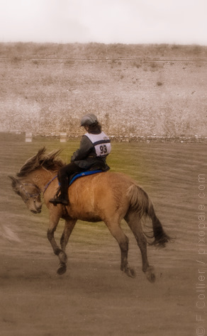 Photo de profil de cocheese