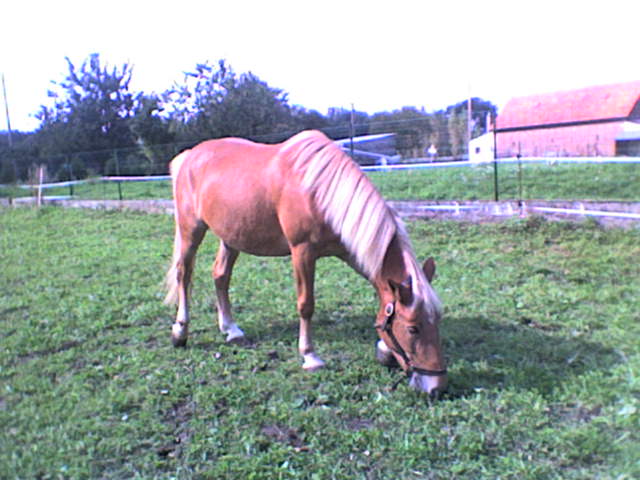 Photo de profil de cocokiki