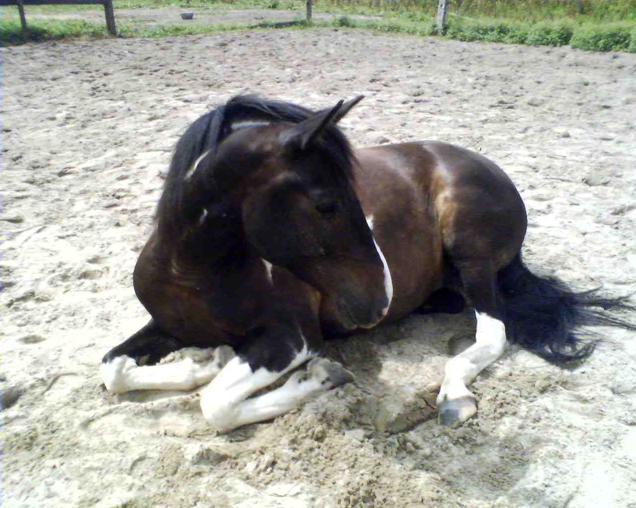 Photo de profil de coralie59491