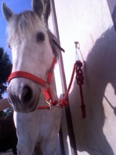 Photo de profil de crasy