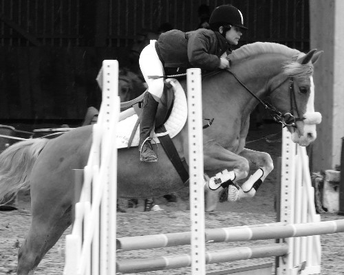 Photo de profil de dadachaval