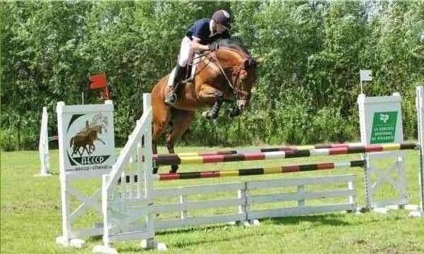 Photo de profil de darkn