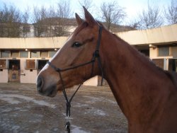 Photo de profil de darlingreve