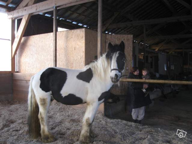 Photo de profil de dolceg