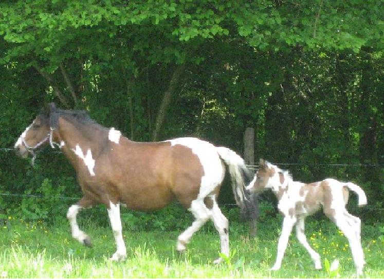 Photo de profil de doumedu38