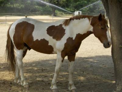 Photo de profil de elea2211