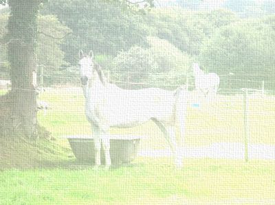 Photo de profil de envlope