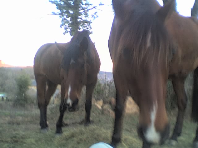 Photo de profil de exquise-voyou