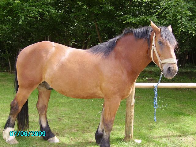 Photo de profil de fafanet