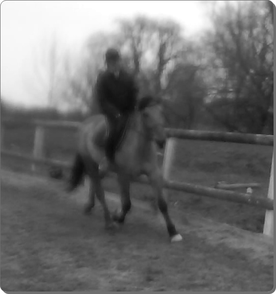 Photo de profil de fcec68