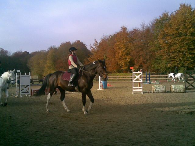 Photo de profil de flowerpink60