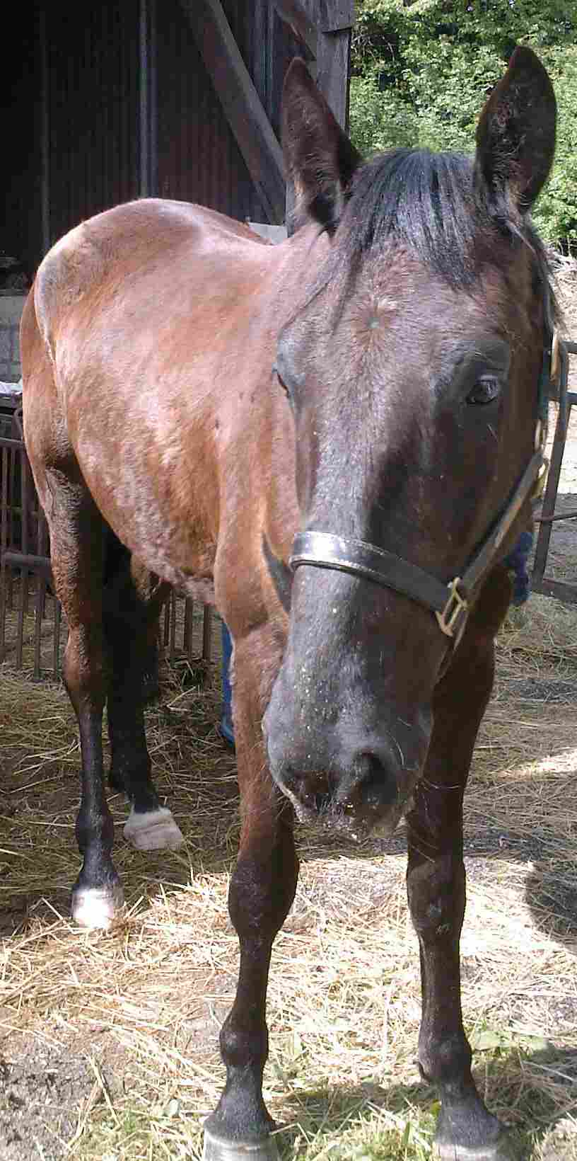 Photo de profil de fredsonia