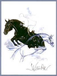 Photo de profil de frison82