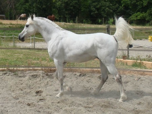 Photo de profil de g.raffalli