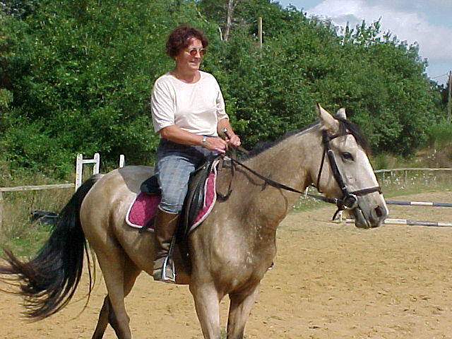 Photo de profil de gabblib