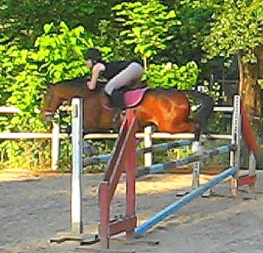 Photo de profil de gabou