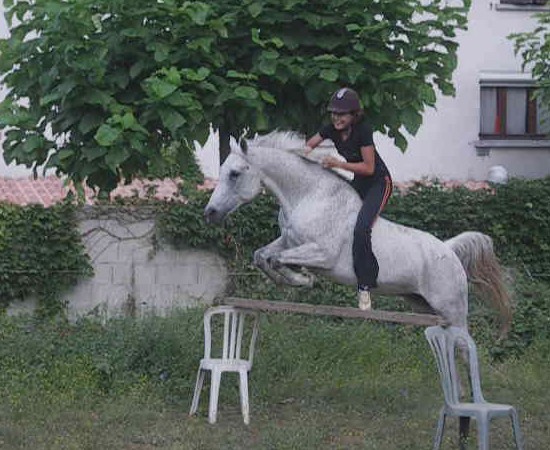 Photo de profil de giboule07