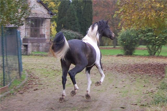 Photo de profil de gyal971