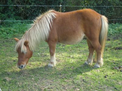 Photo de profil de helene-doly
