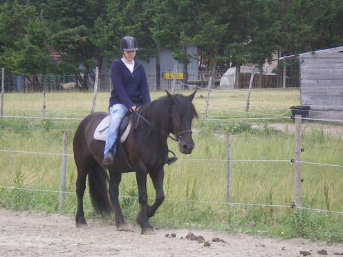 Photo de profil de hidalgoninou