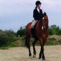 Photo de profil de hokkohono