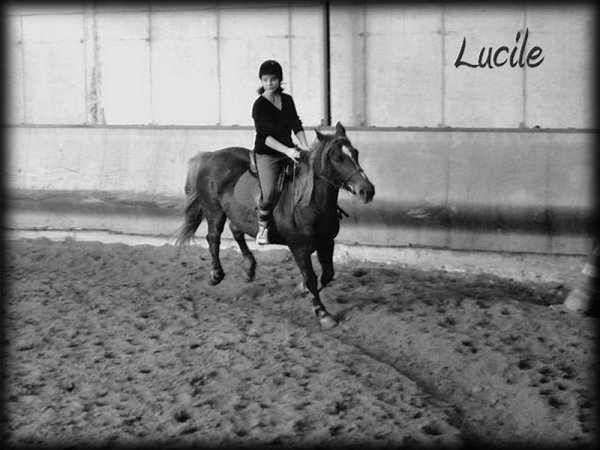 Photo de profil de horse.63