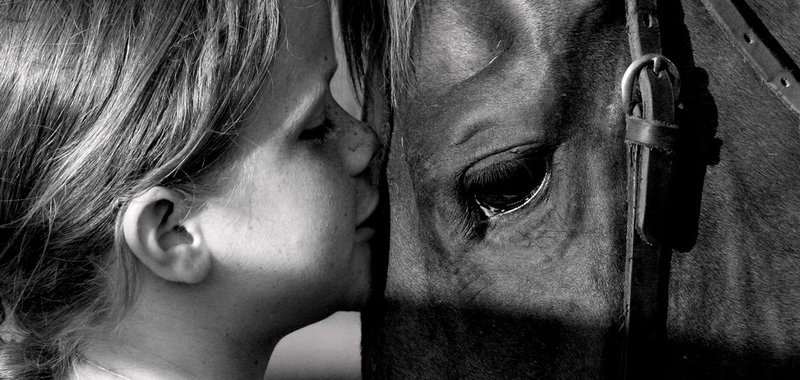 Photo de profil de horse.girl