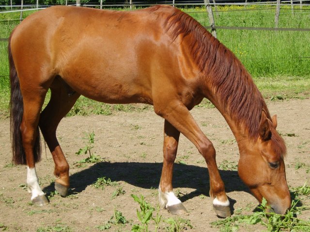 Photo de profil de ideallove