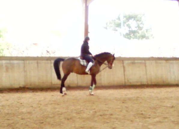 Photo de profil de inlove