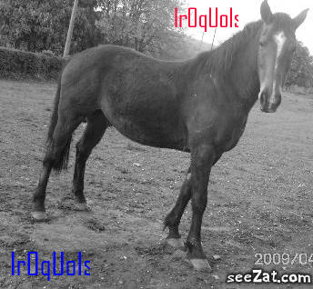 Photo de profil de iroquoisetabi