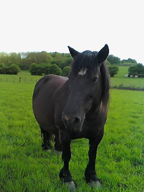 Photo de profil de isba1902