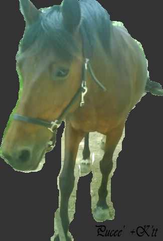Photo de profil de ja-x