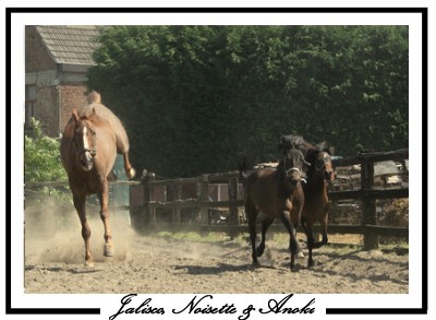 Photo de profil de jalisco525