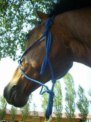 Photo de profil de jalon--x3