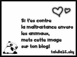 Photo de profil de javelotdu01