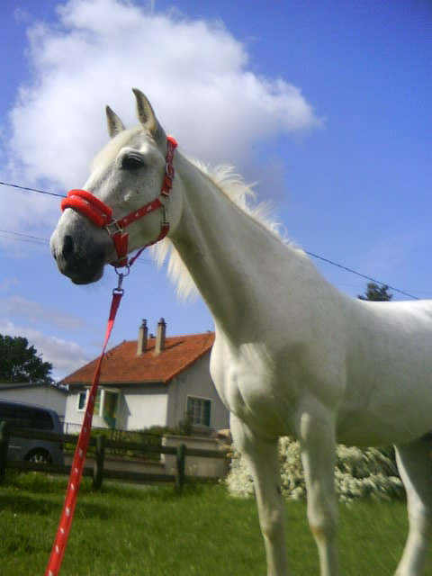 Photo de profil de jessica3210