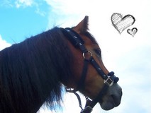 Photo de profil de joliebrise41