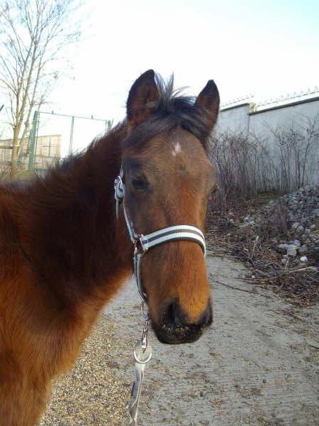 Photo de profil de jtmustang