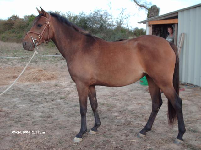 Photo de profil de juju01