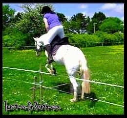 Photo de profil de just-a-dr3am-ox