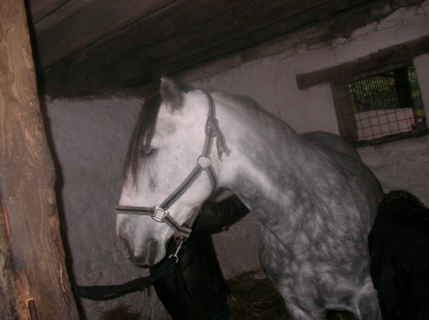 Photo de profil de kaloua