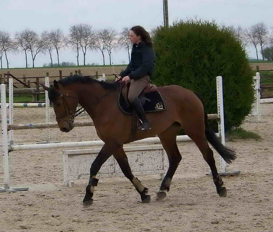 Photo de profil de kandwin95