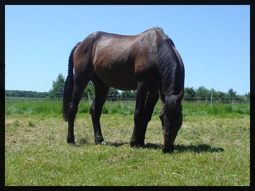 Photo de profil de kazalco