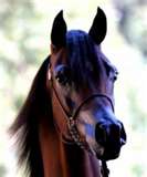 Photo de profil de kelly143